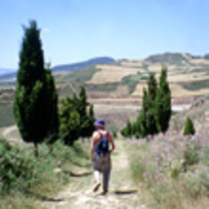 El Camino francès, le chemin de Compostelle en Espagne