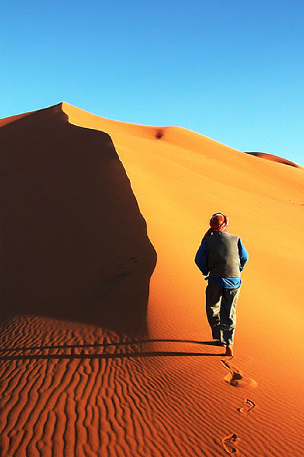 Le bedouin