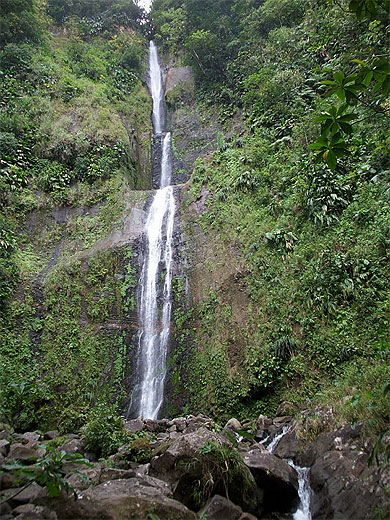 Chutes moreau Chutes moreau