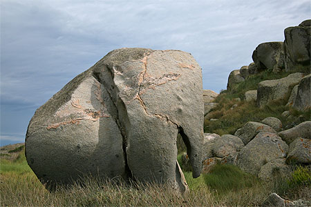 Eléphant de pierre Eléphant de pierre
