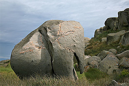 Eléphant de pierre