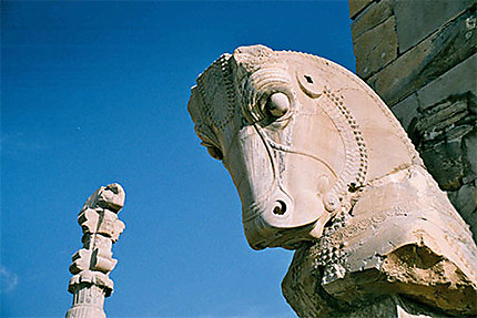 Statue à Persepolis