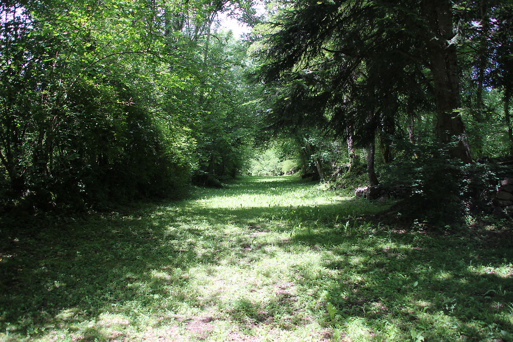 Chemin, Chatreuse Port-Sainte-Marie