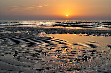 Coucher de soleil sur la plage de Al Jery