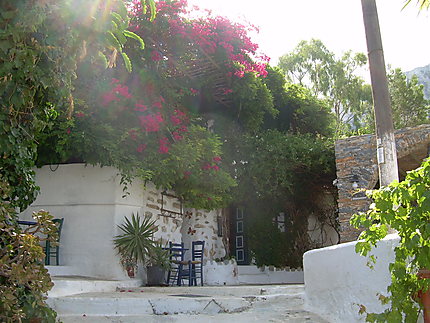 Paysage fleuri grec à Amorgos
