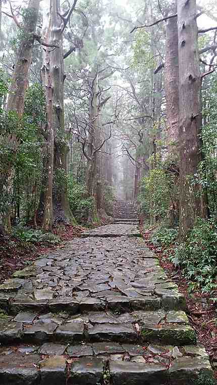 Chemin de pèlerinage Kumano Kodo
