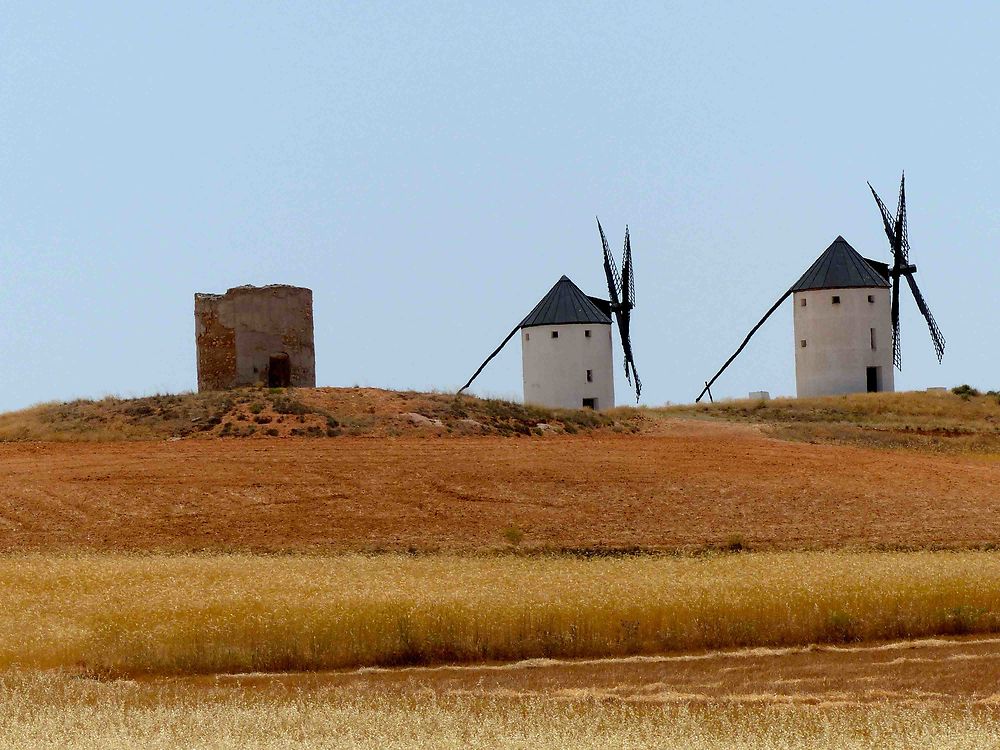 Moulins sur la colline de Tembleque