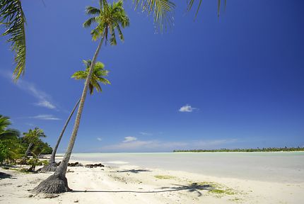 Polynesie