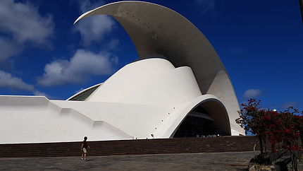 L'Auditorium de Santa Cruz de Tenerife