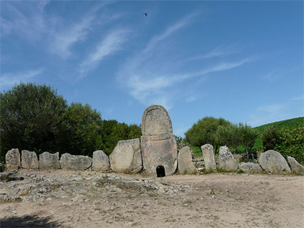 Tombe de géant