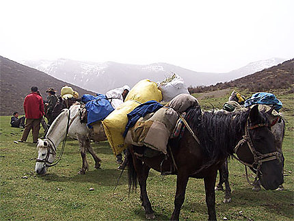 Treck à cheval dans le nord du Sichuan