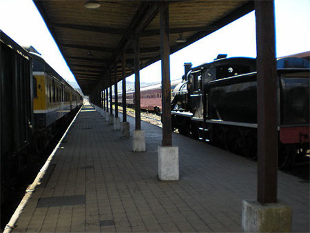 Gare de Valdivia