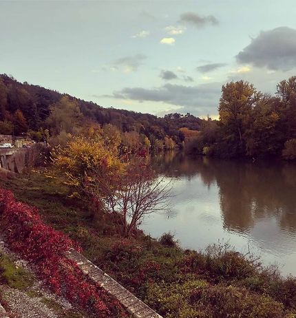 Les bords de Saône en automne