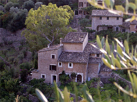 Village Village