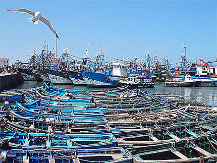 Le port dEssaouira