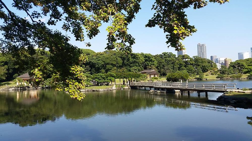 Vu de Hama Rikyu Koen