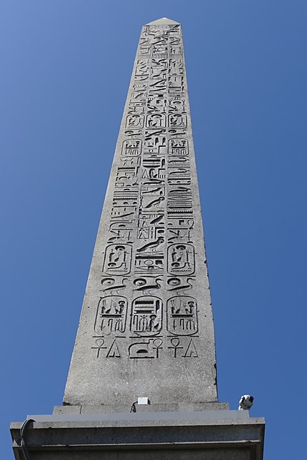 Hiéroglyphes de l'obélisque de Louxor