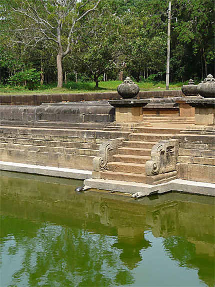 Tortue d'eau au Kuttam Pokuna (bassins jumeaux)