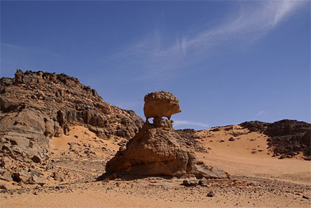 Le &quot;hérisson&quot; près de Tin Merzouga