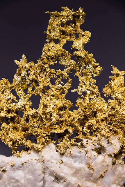 Galerie de minéralogie, le buisson d'or