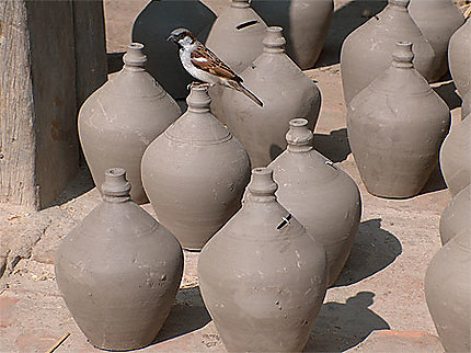 Oiseau posé sur une poterie