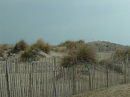 Dunes de L'Espiguette