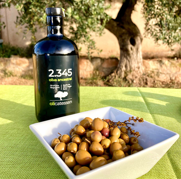 Partir sur la route de l’olive dans Les Garrigues