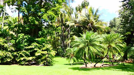 Botanic Garden de Rockhampton
