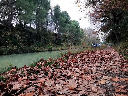 Canal du Midi en automne
