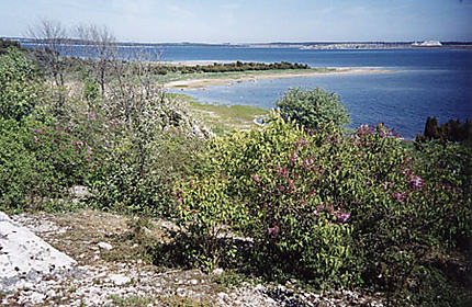 Côte est de l'île de Gotland au printemps