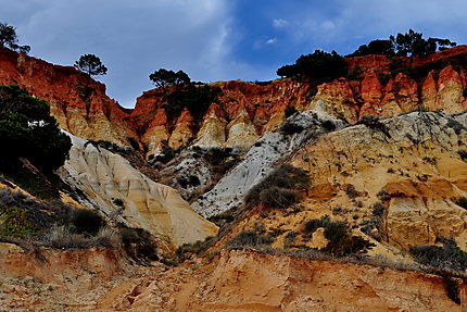 Vue sur la falaise