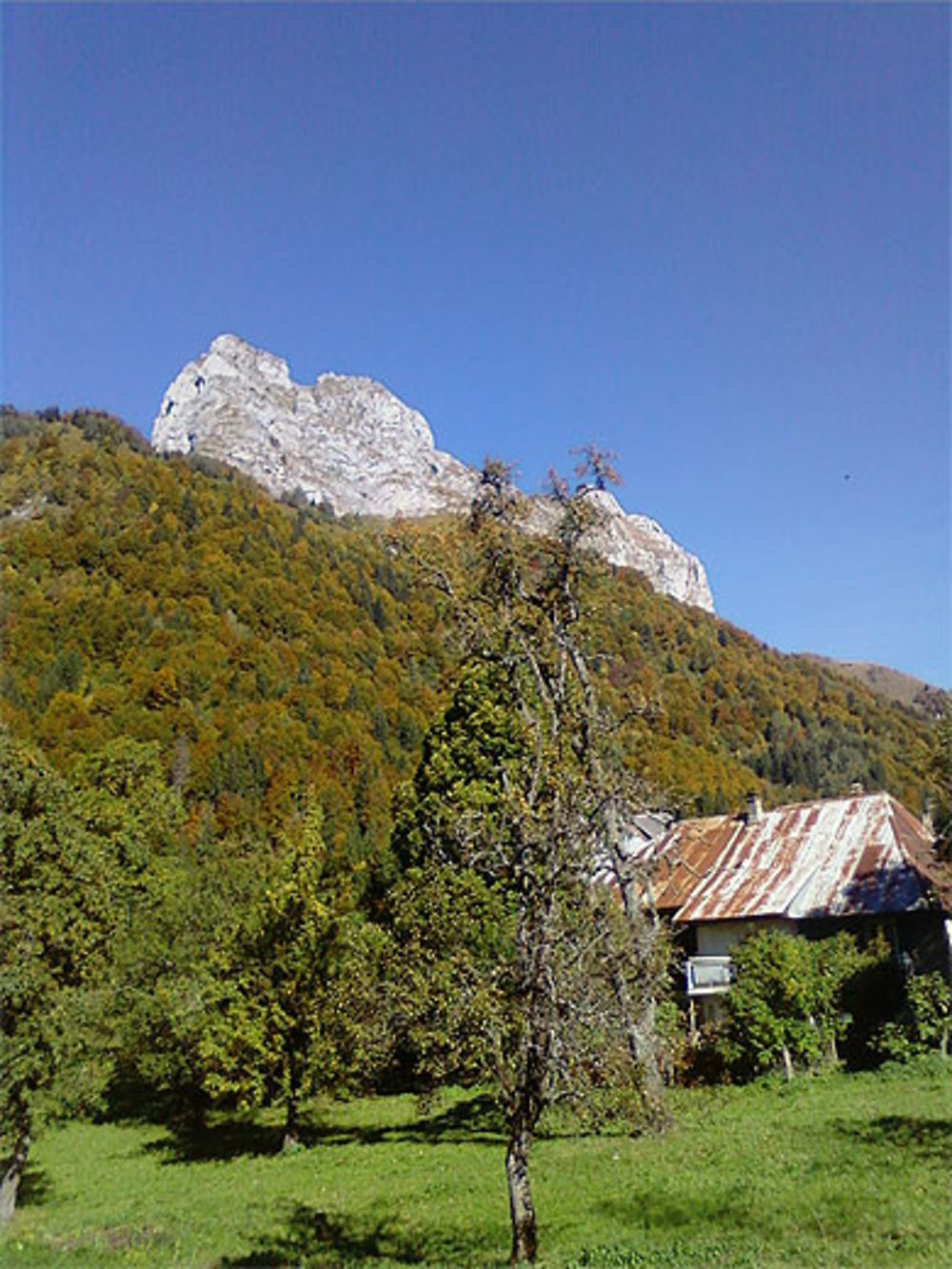 Précherel (Jarsy) en Automne