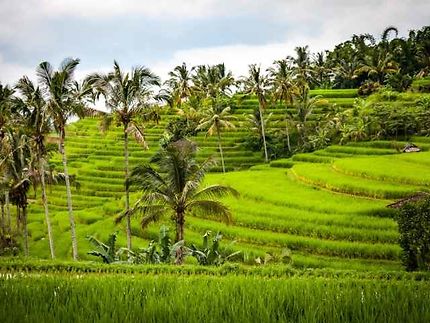 Indonésie : îles, volcans et traditions