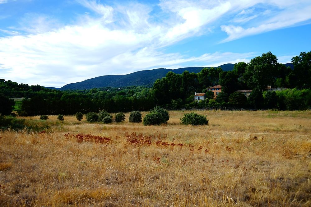 Entre Cucuron et Vaugines