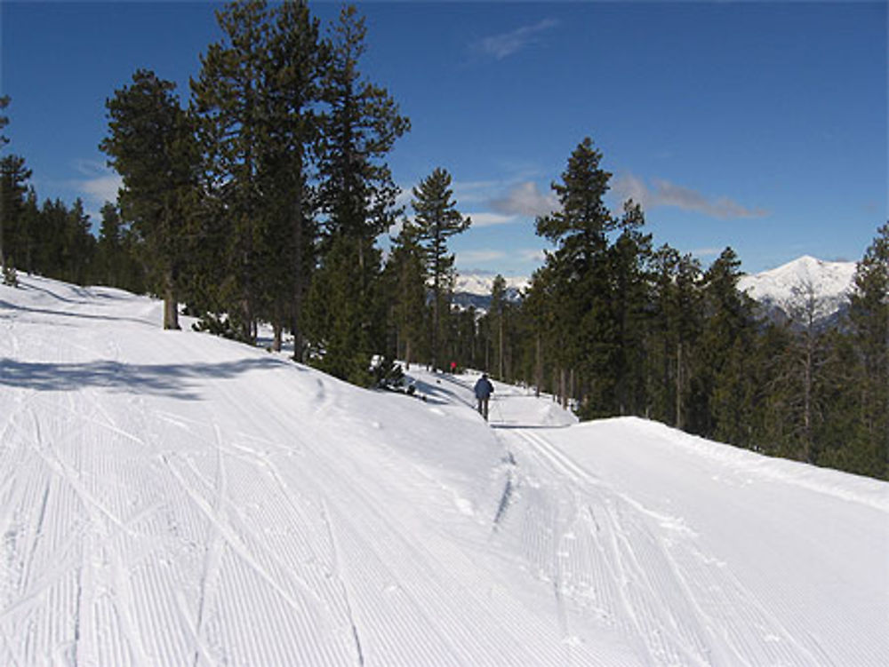 Pistes de ski de fond