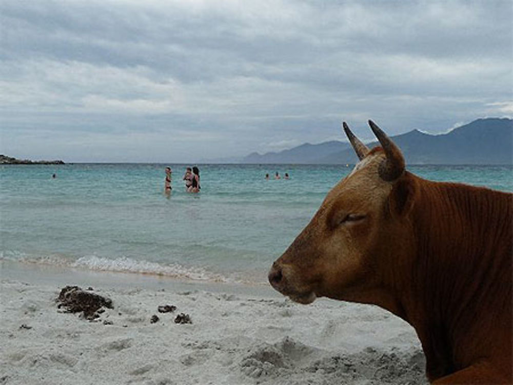 Plage du Lodo