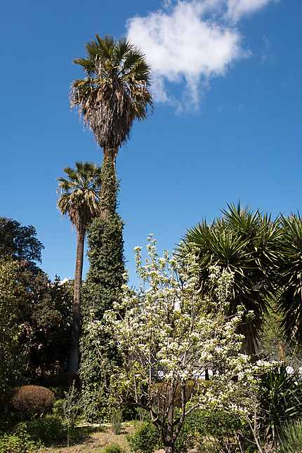 Musée du Batha... dans le magnifique jardin