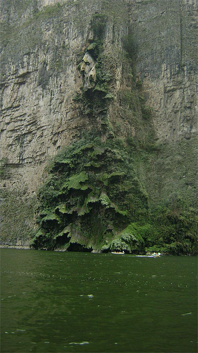 Profil Maya / Arbre de noël Profil Maya / Arbre de noël