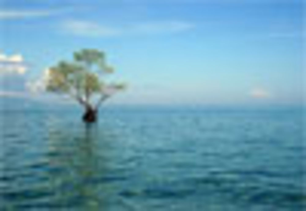 Solitude sur l'île Bunaken