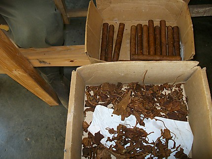 Fabrique artisanale de cigares