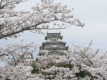 Chateau d'Himeji