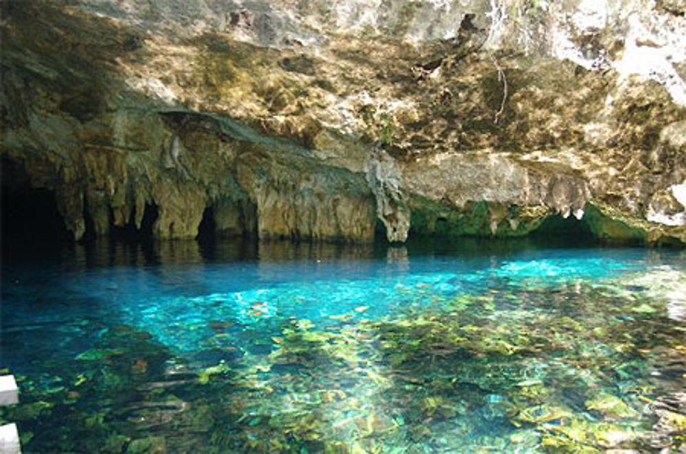 Gran Cenote à Tulum