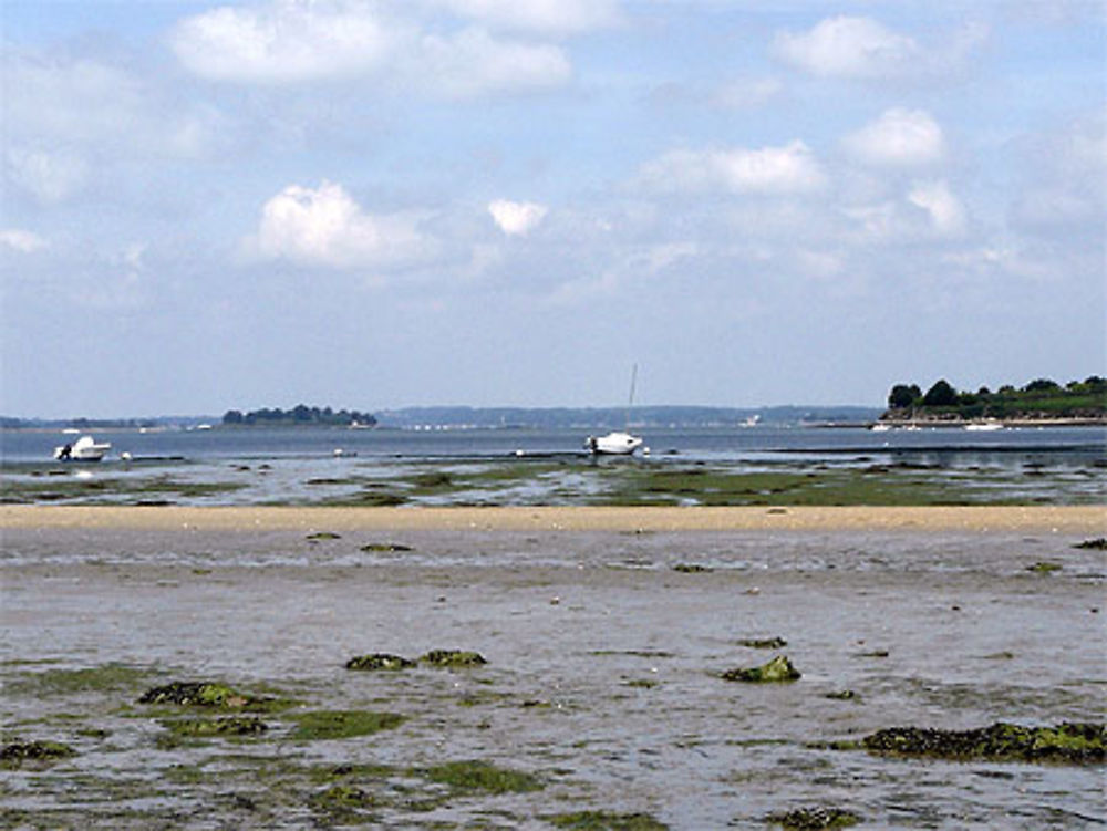 Marée basse sur Tascon