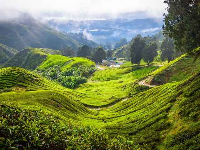 Malaisie : entre jungle, plages et culture