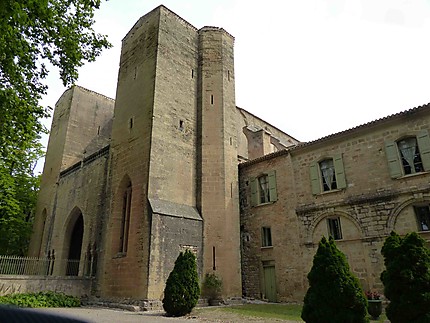 Abbaye de Valmagne  - Entrée