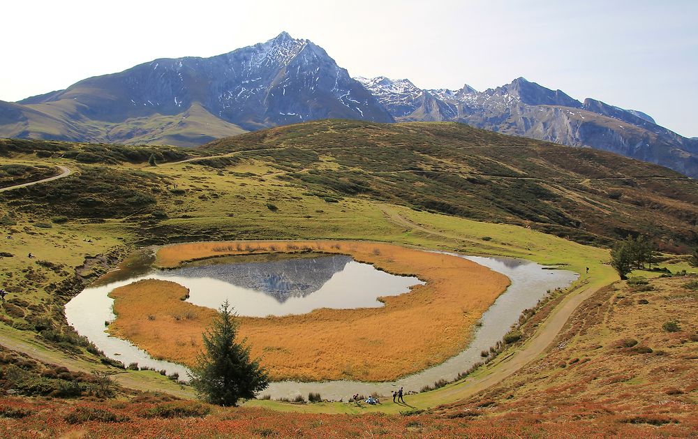 Sur les hauteurs du Val d'Azun