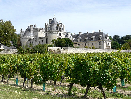 Château de Brézé Château de Brézé