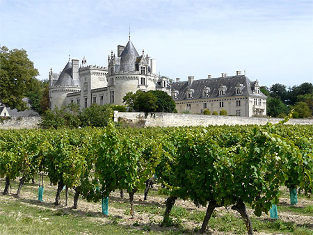 Château de Brézé