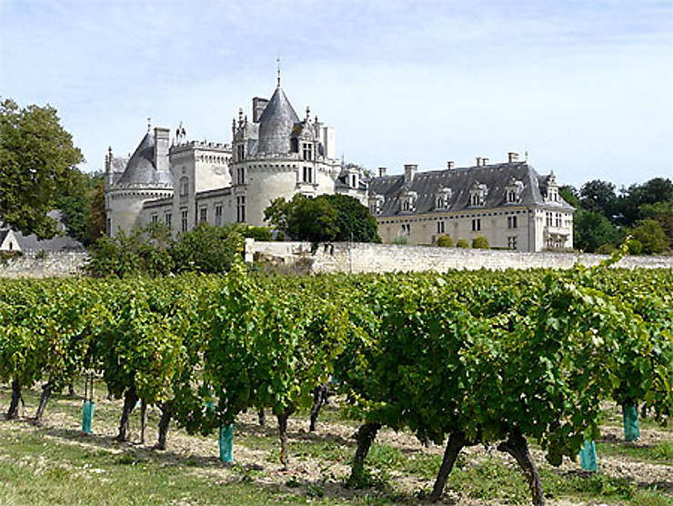 Château de Brézé - Danièle Wauquier