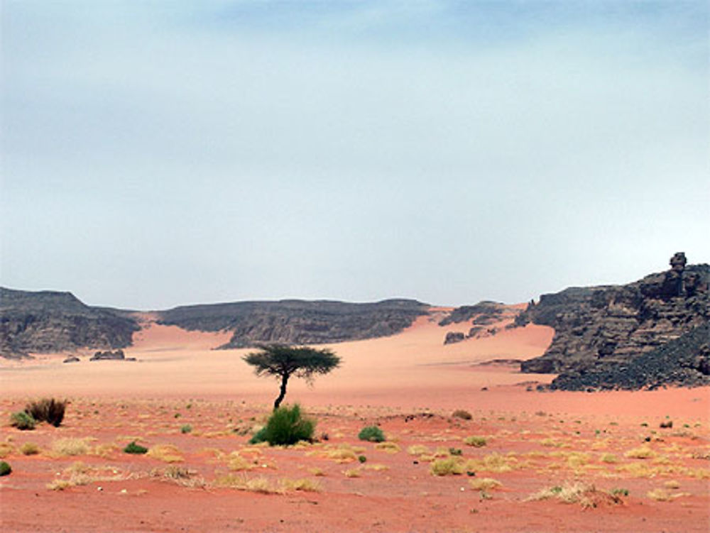 Tableau désert